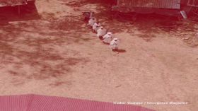 PODCAST #70 (teaserra) | Etiopian oihanen azken aleek biziari eusten diote ehunka baselizaren harresien babesean by ARGIA.eus